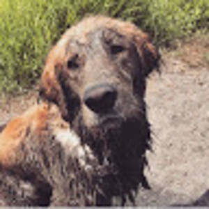 Meet your Posher, Jayden